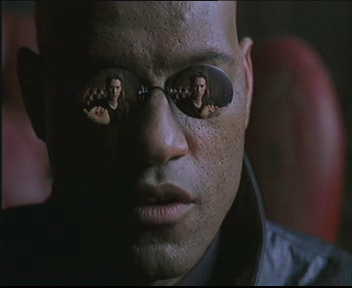 What if I told you I'm writing a programming language?